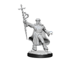 D&D Nolzur's Marvelous Miniatures: Human Wizard Male