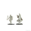 D&D Nolzur's Marvelous Miniatures: Kalashtar Cleric  Female