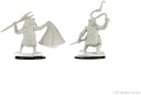 D&D Nolzur's Marvelous Miniatures: Kuo-Toa & Kuo-Toa Whip