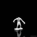 D&D Nolzur's Marvelous Miniatures: Raging Troll