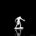 D&D Nolzur's Marvelous Miniatures: Raging Troll