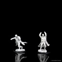 D&D Nolzur's Marvelous Miniatures: Revenant