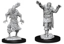 D&D Nolzur's Marvelous Miniatures: Scarecrow & Stone Cursed