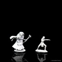 D&D Nolzur's Marvelous Miniatures: Sea Hag & Bheur Hag