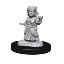 D&D Nolzur's Marvelous Miniatures: Silver Dragon Wyrmling & Female Halfling