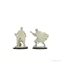 D&D Nolzur's Marvelous Miniatures: Tiefling Bard Female
