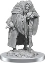 D&D Nolzur's Marvelous Miniatures: Wereravens