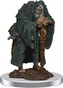 D&D Nolzur's Marvelous Miniatures: Wereravens