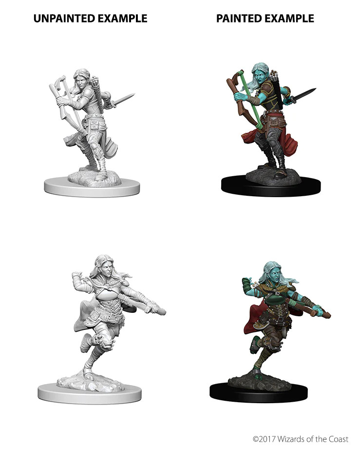 D&D Nolzur’s Marvelous Miniatures: Air Genasi Rogue Female