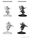 D&D Nolzur’s Marvelous Miniatures: Air Genasi Rogue Female