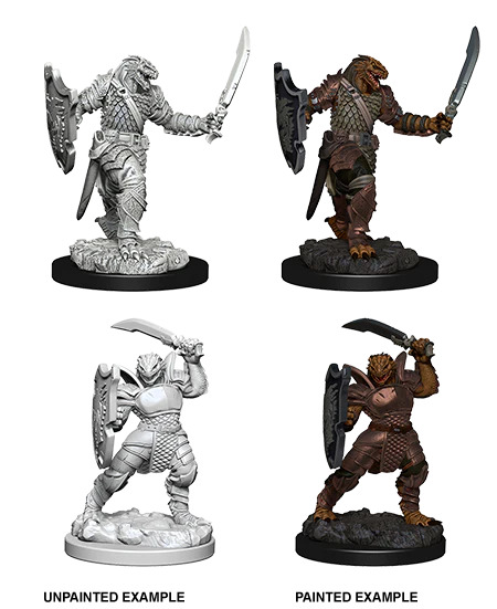 D&D Nolzur’s Marvelous Miniatures: Dragonborn Paladin Female