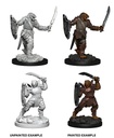 D&D Nolzur’s Marvelous Miniatures: Dragonborn Paladin Female
