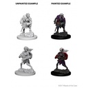 D&D Nolzur’s Marvelous Miniatures: Drow