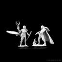D&D Nolzur’s Marvelous Miniatures: Elf Female Druid