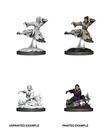 D&D Nolzur’s Marvelous Miniatures: Female Human Monk