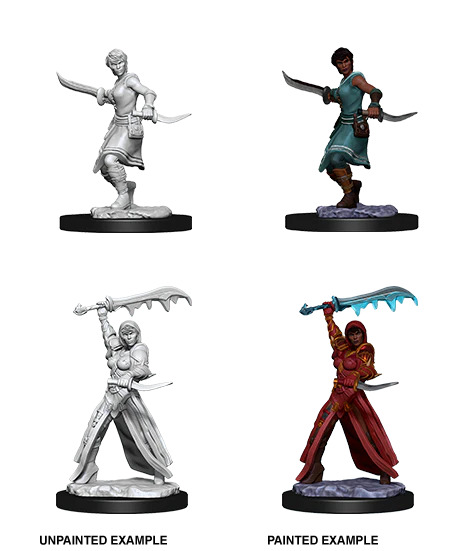 D&D Nolzur’s Marvelous Miniatures: Female Human Rogue