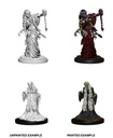 D&D Nolzur’s Marvelous Miniatures: Green Hag & Night Hag