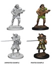 D&D Nolzur’s Marvelous Miniatures: Human Male Bard