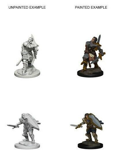 D&D Nolzur’s Marvelous Miniatures: Human Male Paladin