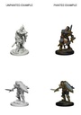 D&D Nolzur’s Marvelous Miniatures: Human Male Paladin