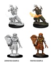 D&D Nolzur’s Marvelous Miniatures: Male Human Druid