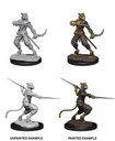D&D Nolzur’s Marvelous Miniatures: Male Tabaxi Rogue
