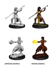 D&D Nolzur’s Marvelous Miniatures: Female Half-Elf Monk