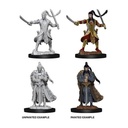 D&D Nolzur’s Marvelous Miniatures: Male Elf Paladin