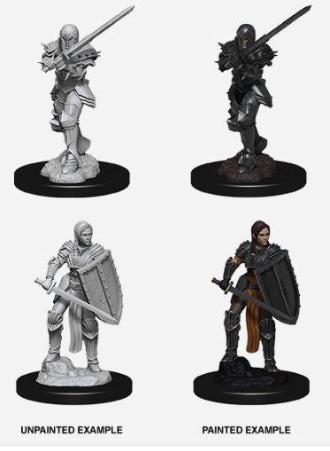 D&D Nolzur’s Marvelous Miniatures: Female Human Fighter