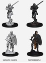 D&D Nolzur’s Marvelous Miniatures: Female Human Fighter