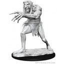 D&D Nolzur’s Marvelous Miniatures: Troll