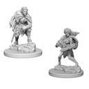 D&D Nolzur’s Marvelous Miniatures: Drow