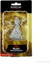 D&D Nolzur's Marvelous Miniatures: Boneclaw