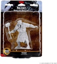 D&D Nolzur's Marvelous Miniatures: Fire Giant