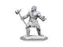 D&D Nolzur's Marvelous Miniatures: Cyclops