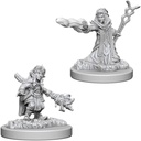 D&D Nolzur’s Marvelous Miniatures: Female Gnome Wizard