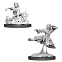 D&D Nolzur’s Marvelous Miniatures: Female Human Monk