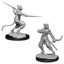 D&D Nolzur’s Marvelous Miniatures: Male Tabaxi Rogue