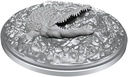 D&D Nolzur’s Marvelous Miniatures: Crocodile