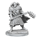 D&D Frameworks: Human Fighter Male