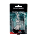 D&D Nolzur's Marvelous Miniatures: Human Paladin Male 2