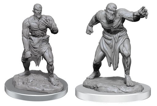 D&D Nolzur's Marvelous Miniatures: Flesh Golems | Potion