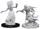D&D Nolzur’s Marvelous Miniatures: Wraith & Specter
