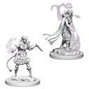 D&D Nolzur’s Marvelous Miniatures: Tiefling Female Sorcerer