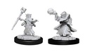 D&D Nolzur’s Marvelous Miniatures: Male Gnome Wizard
