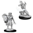 D&D Nolzur’s Marvelous Miniatures: Male Human Druid