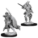 D&D Nolzur’s Marvelous Miniatures: Male Elf Rogue