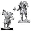 D&D Nolzur’s Marvelous Miniatures: Male Goliath Fighter 
