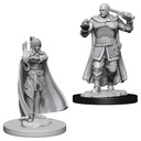 D&D Nolzur’s Marvelous Miniatures: Human Ranger & Moon Elf Sorcerer