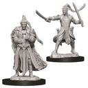 D&D Nolzur’s Marvelous Miniatures: Male Elf Paladin